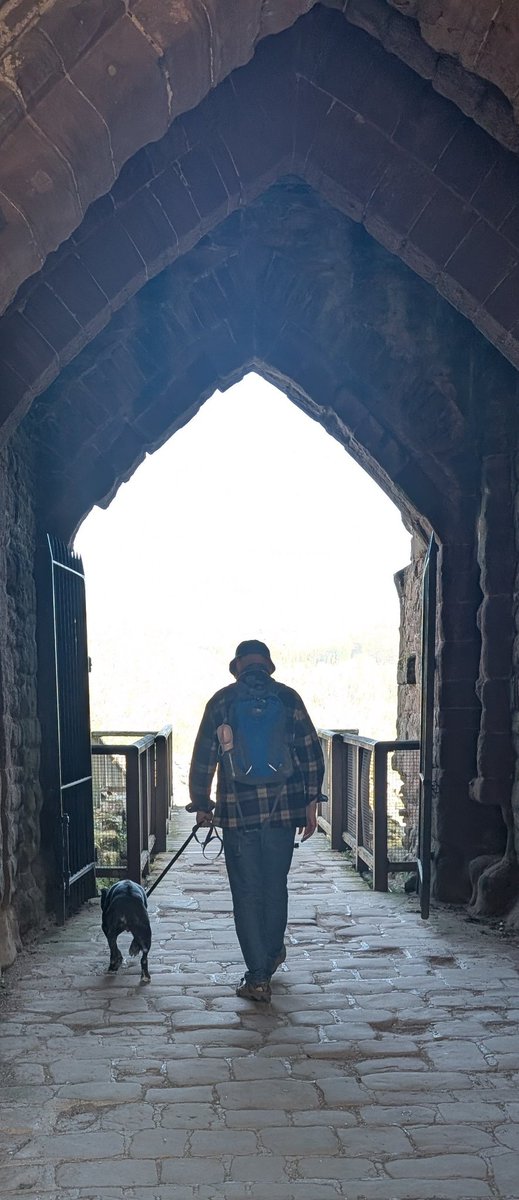 Alison Khan tweet media