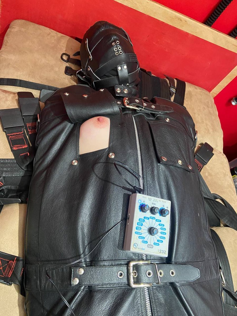 EasilyTamed's tweet photo. Went from trapped, to *extremely* trapped during a tough session last week, all while struggling on a dildo gag. @More2fun https://t.co/KaBooGPEB9