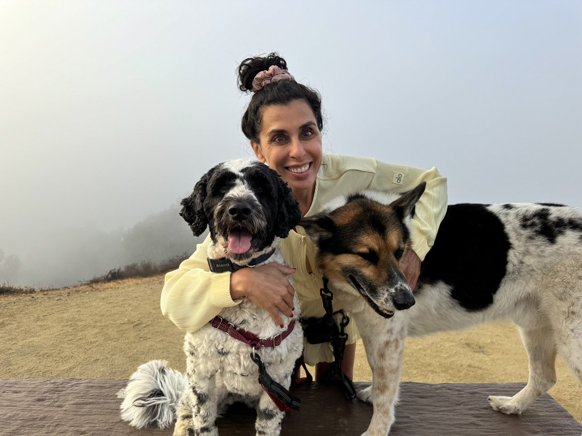 DrMarthaGulati's tweet image. National Hug Your Dog Day
#BinkleyLove
#CocoLoco
#NationalHugYourDogDay
#dogsarehearthealth 
@DBelardoMD @HeartOTXHeartMD @mmamas1973