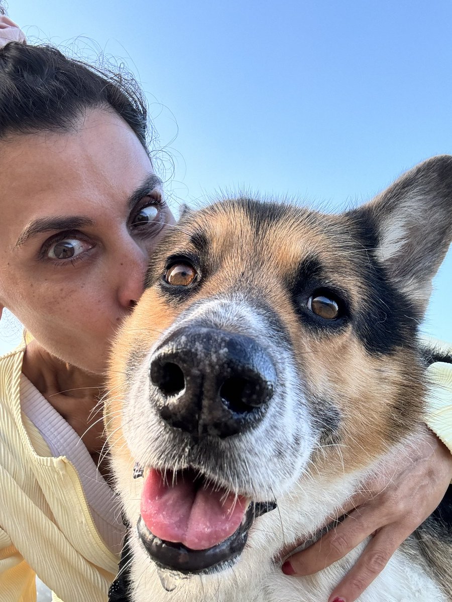 DrMarthaGulati's tweet image. National Hug Your Dog Day
#BinkleyLove
#CocoLoco
#NationalHugYourDogDay
#dogsarehearthealth 
@DBelardoMD @HeartOTXHeartMD @mmamas1973