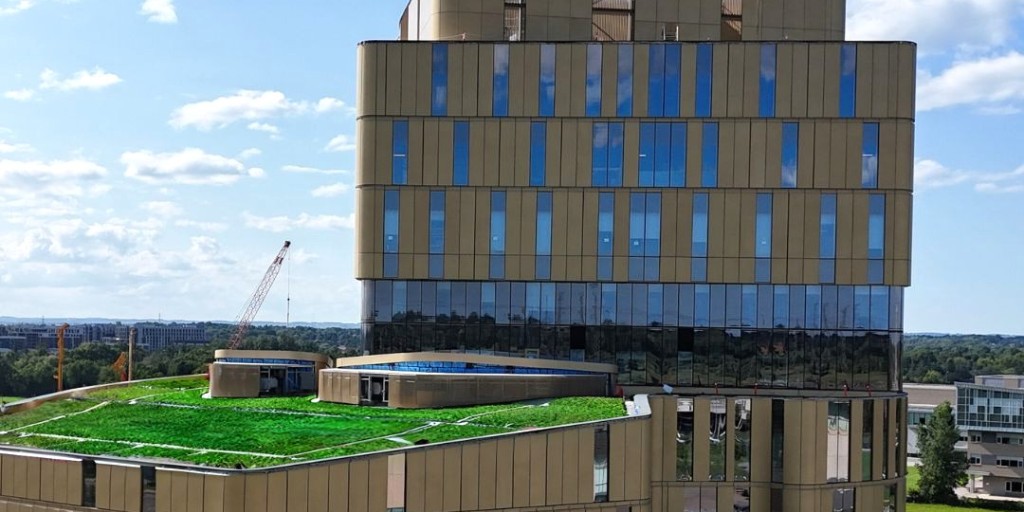 Did you know that many of York's buildings feature green roofs? These green spaces promote biodiversity and contribute to reducing York's carbon footprint, making every month Earth Month at York! | #YUEarthMonth