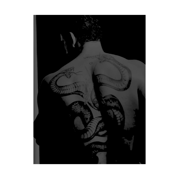 ‍ ‍‍ ‍ ‍ ‍ ‍ ‍ ‍ ‍ ‍ ‍ ‍‍‍‍‍𝐌𝐀𝐍𝐂𝐈𝐍𝐈. ‍ ‍ ‍ ‍ ‍ ‍ tweet media