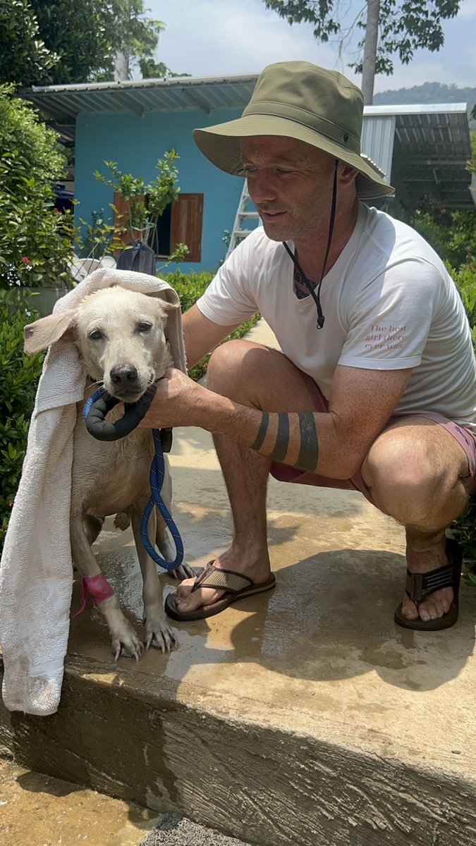 Niall Harbison tweet media