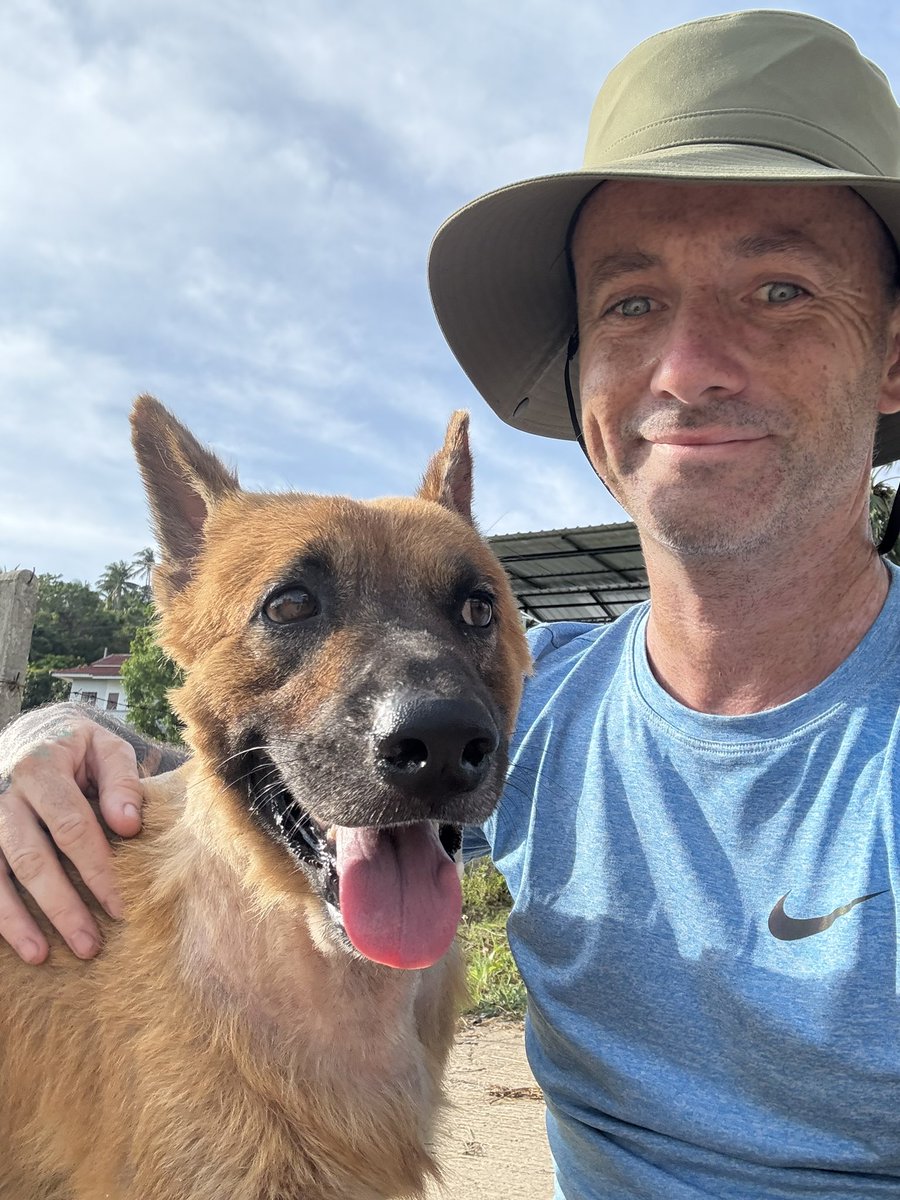 Niall Harbison tweet media