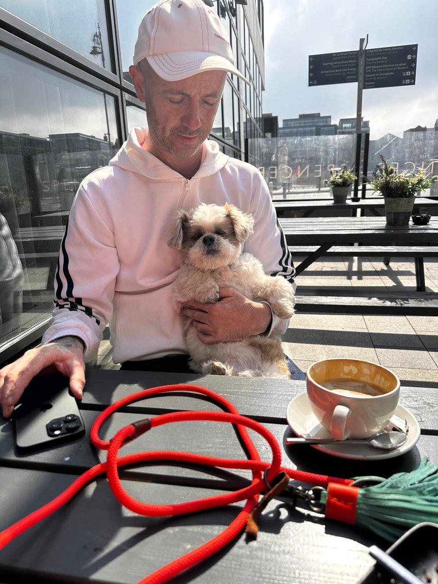 Niall Harbison tweet media