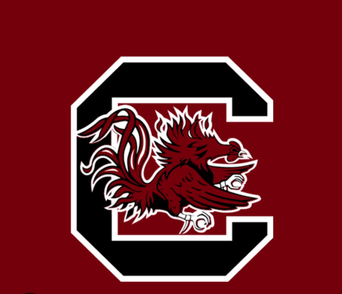 AIDEN GIBSON tweet media