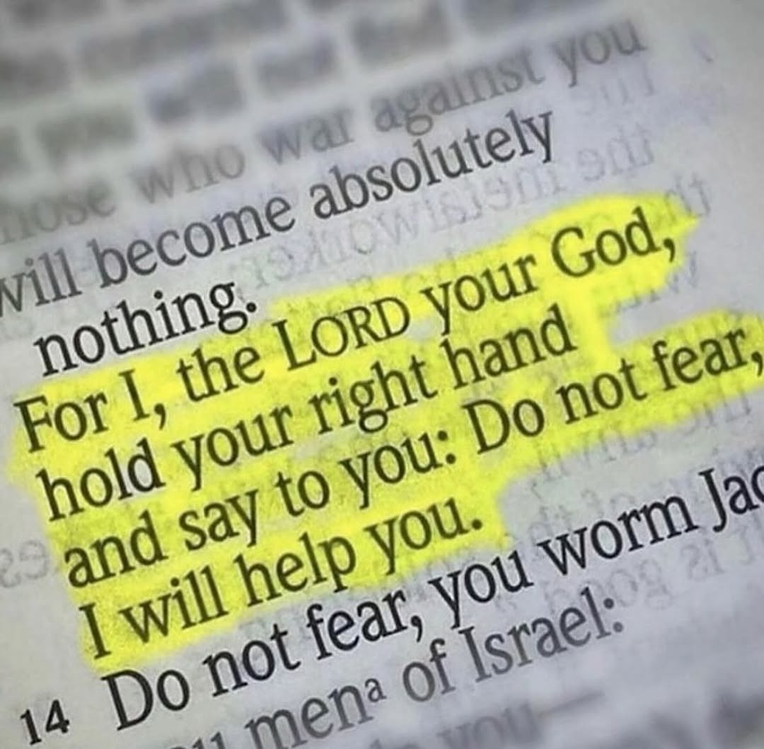 Bible 365 tweet media