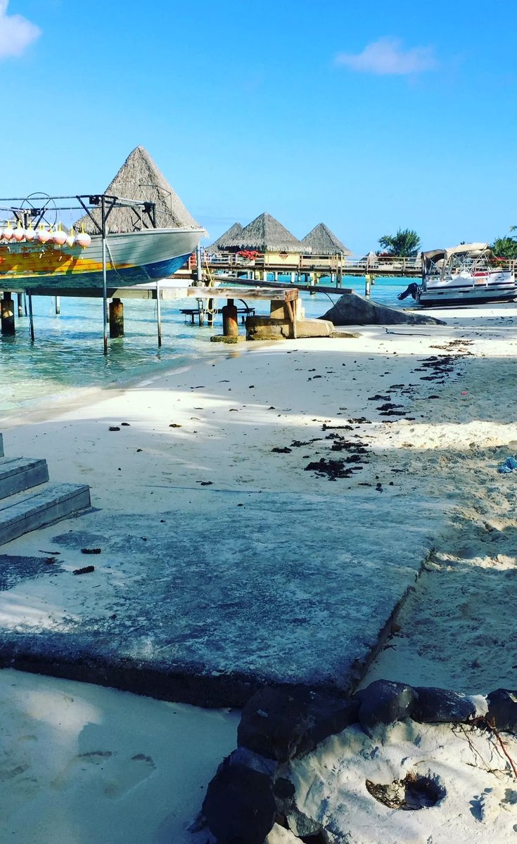 Good morning, 

you’re a rockstar 🎸