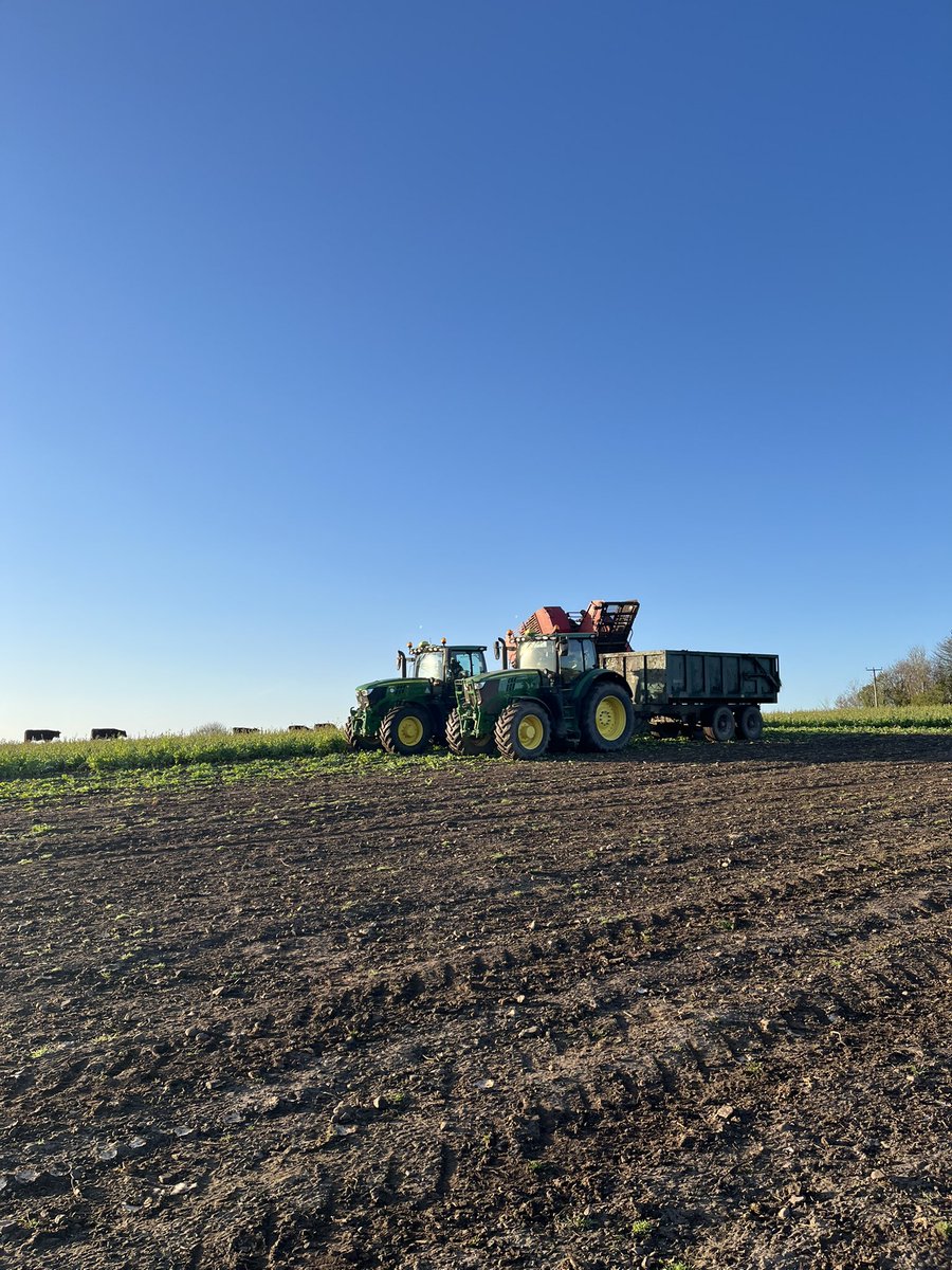 Fearn Farm tweet media