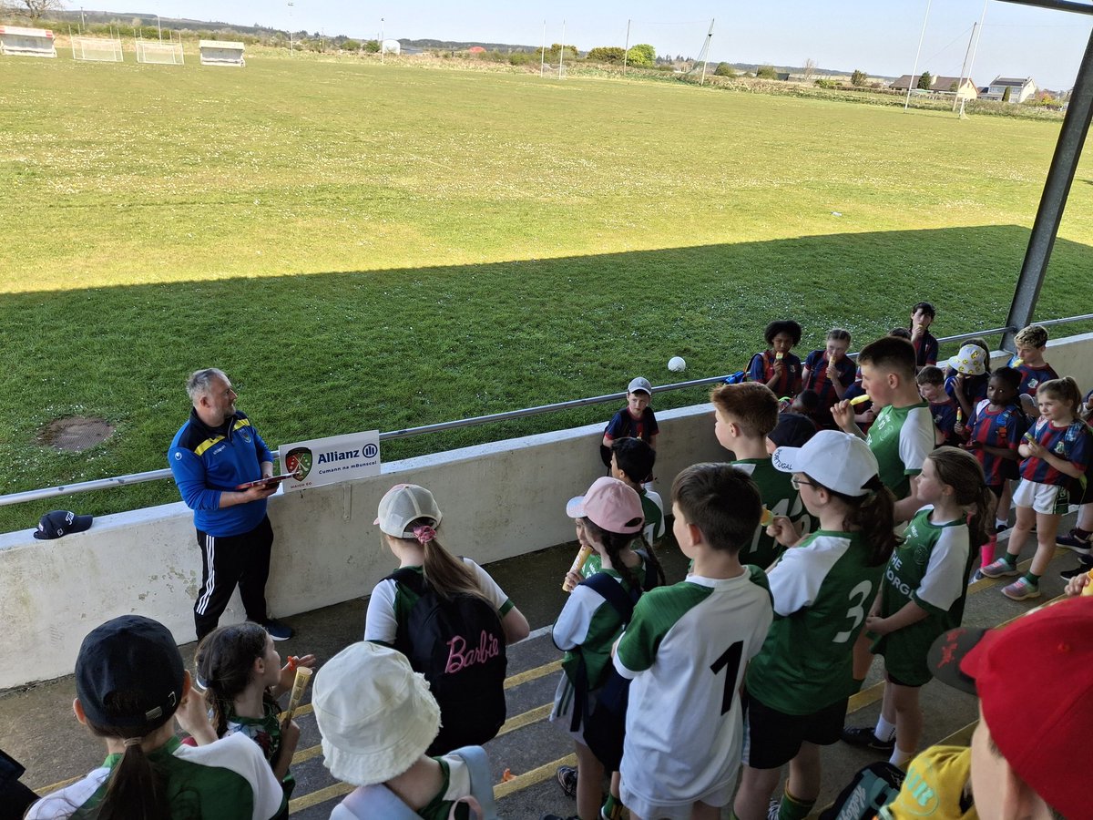 St. Colman's N.S. tweet media