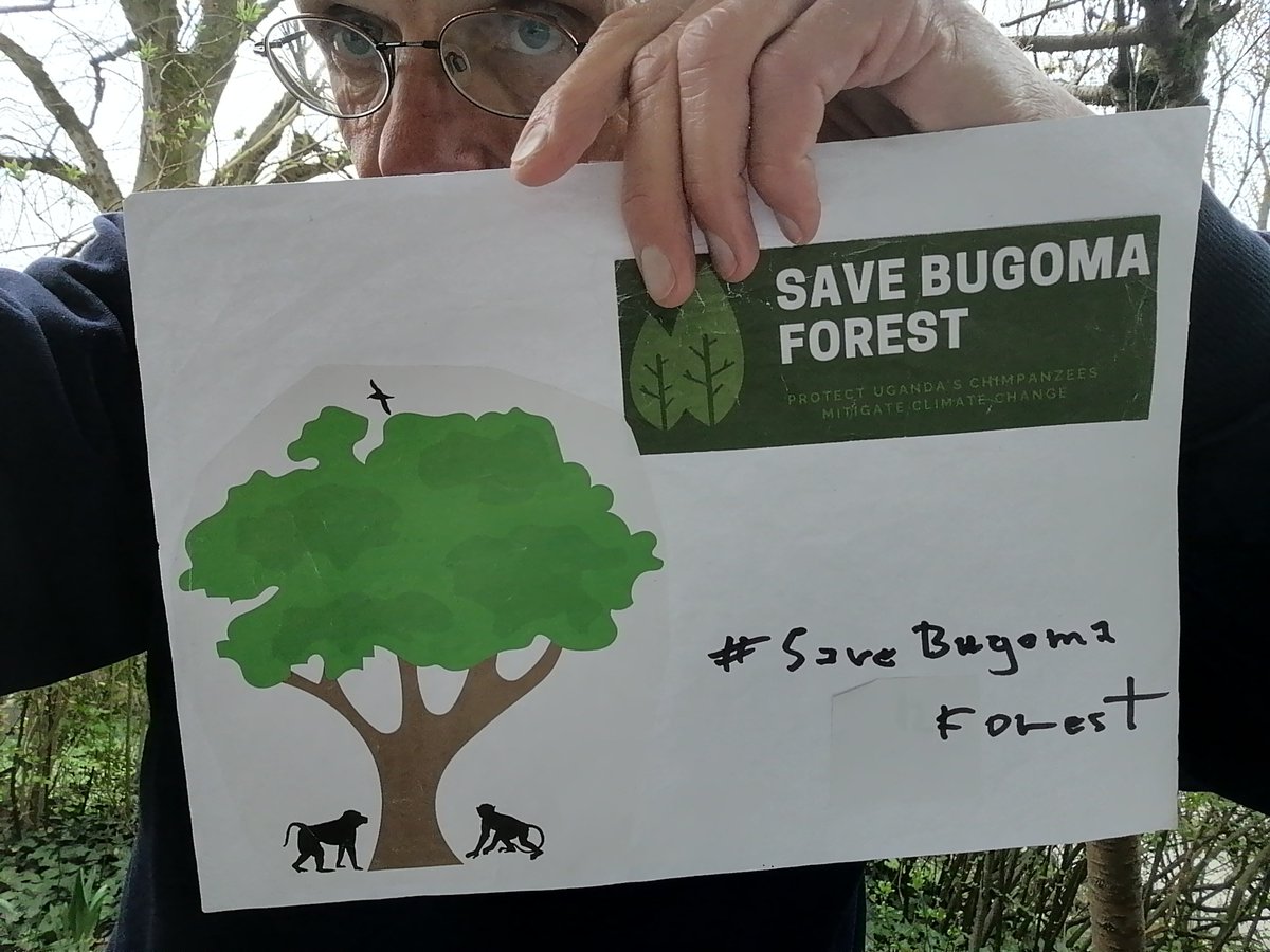 endelstamberg's tweet photo. I am Endel Stamberg, a climate activist from Germany. Uganda forest cover is shrinking. And one of the forest in Uganda has been sold for agribusiness.  I’m calling upon activists around the world to add their voices on mine and #SaveBugomaForest! 
@KaoHua3
@Greenpeace https://t.co/wWjvt5AqNj