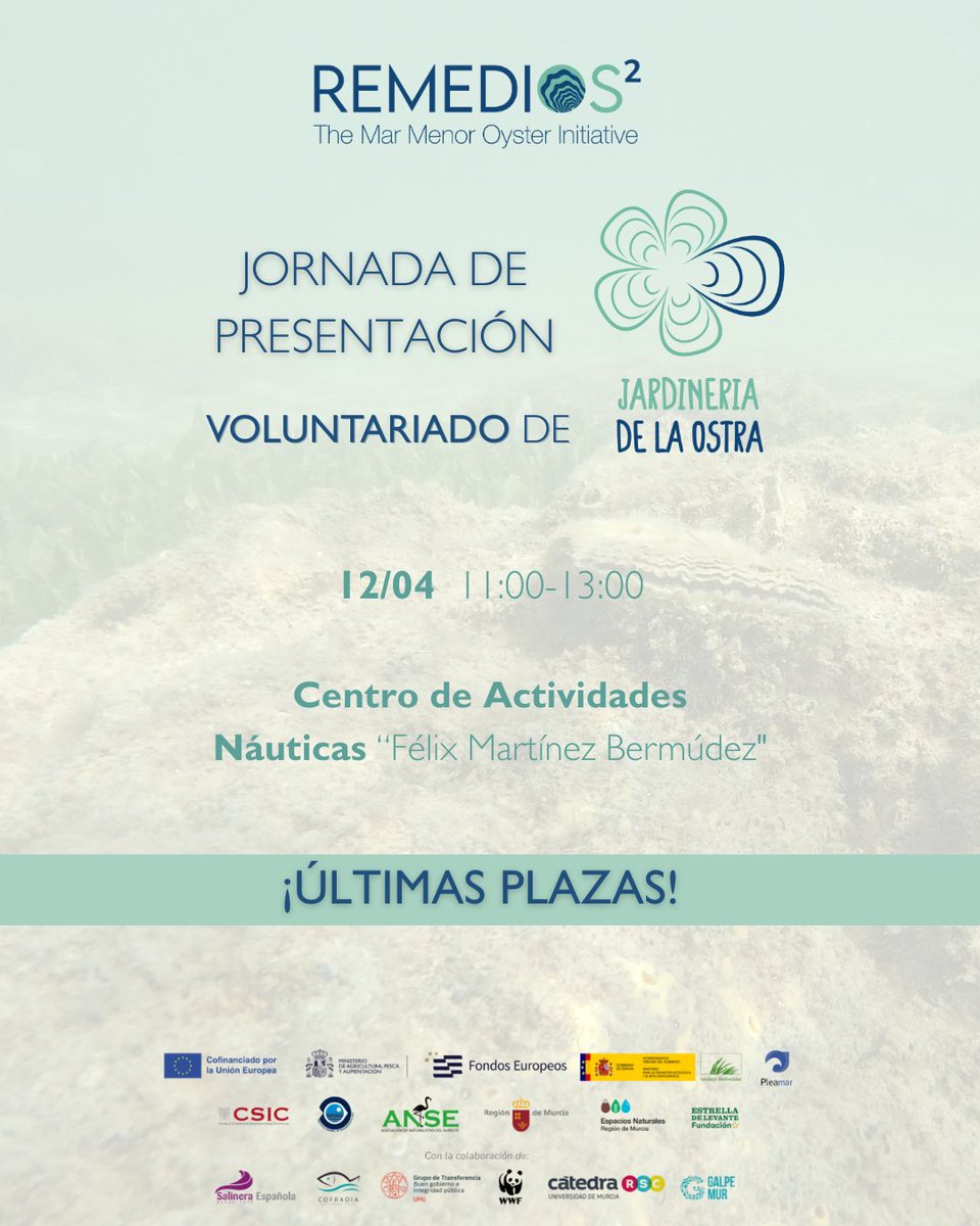 RemediOSproject's tweet image. 🔔 ¡Última oportunidad!  ⚠️

Este sábado 12 de abril, de 11 a 13h, comienza el Voluntariado de Jardinería de Ostras del proyecto #RemediOS2 🦪🌊

🆓Actividad gratuita para todas las edades 👨‍👩‍👧‍👦

¡Inscríbete ya! ➡️ docs.google.com/forms/d/1S6HrN…