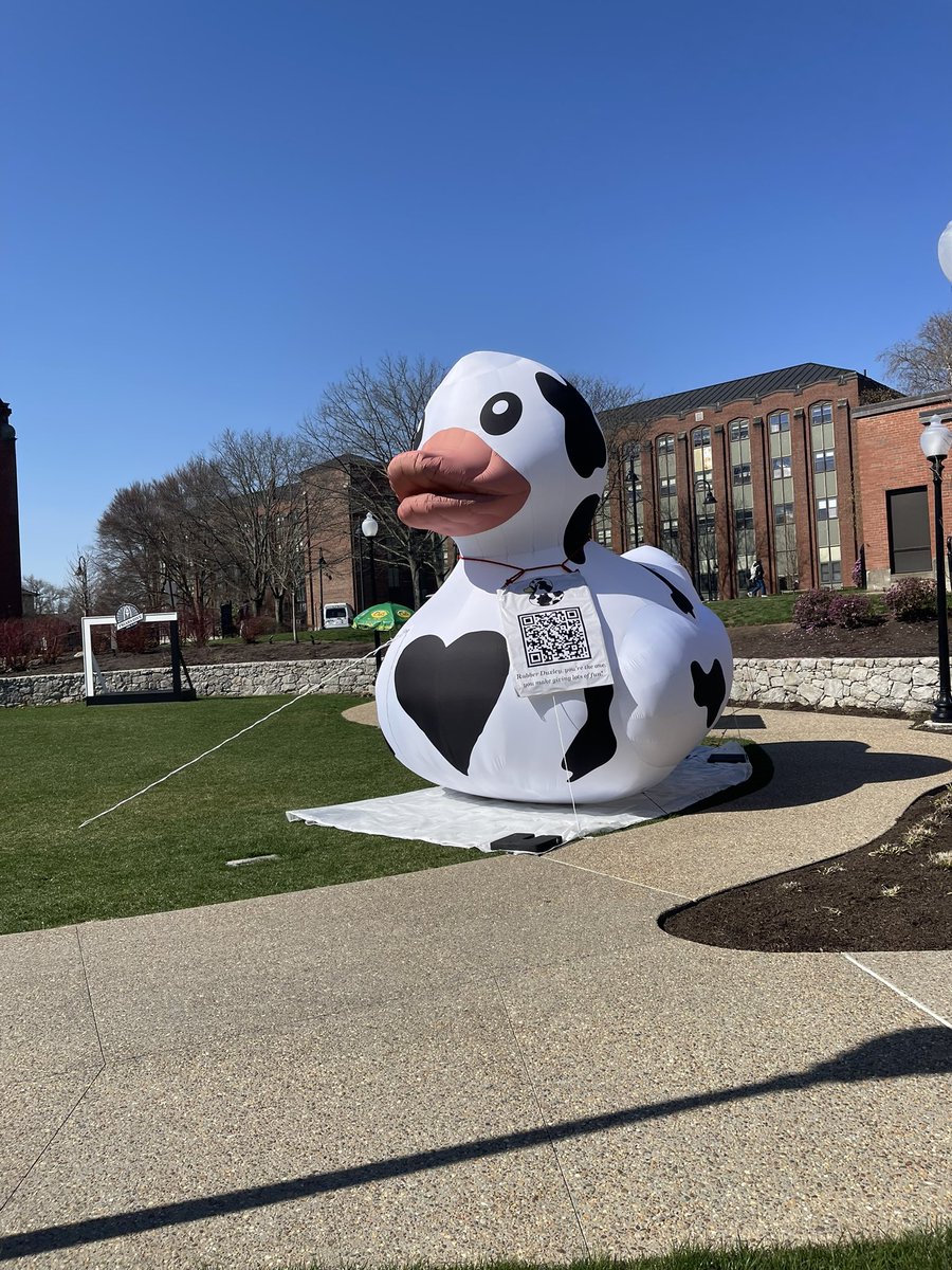 Friarballknower's tweet image. Good vibes for next szn #theduck