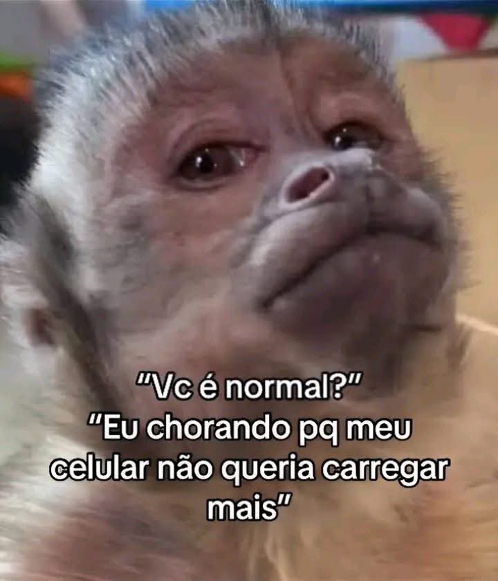 musadosmeme's tweet photo. https://t.co/kRgRDH4HD2