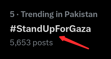 شکر ہے کہ ٹرینڈ تو پینل پر اگیا۔
#StandUpForGaza