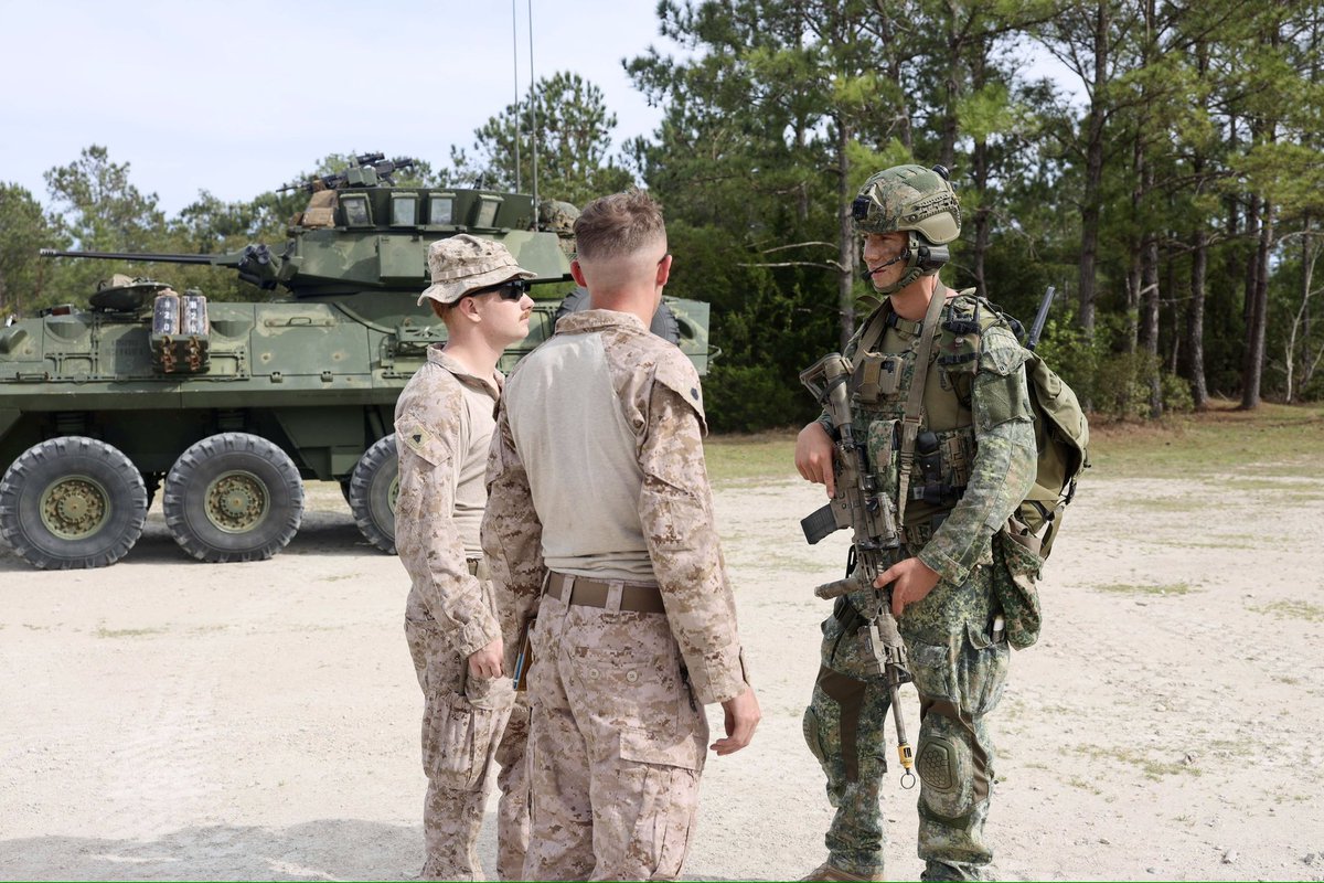 Walter Hansen tweet media