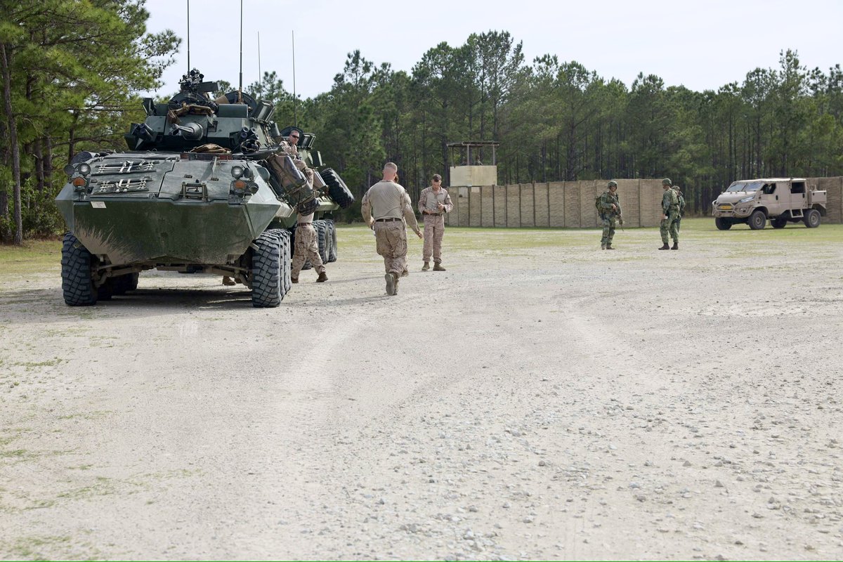 Walter Hansen tweet media