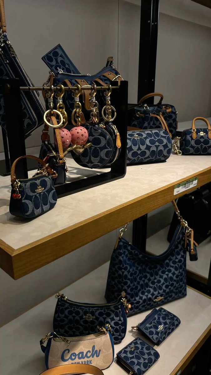 Outfit_Luxy's tweet photo. Coach bag's https://t.co/o0eksND4EM