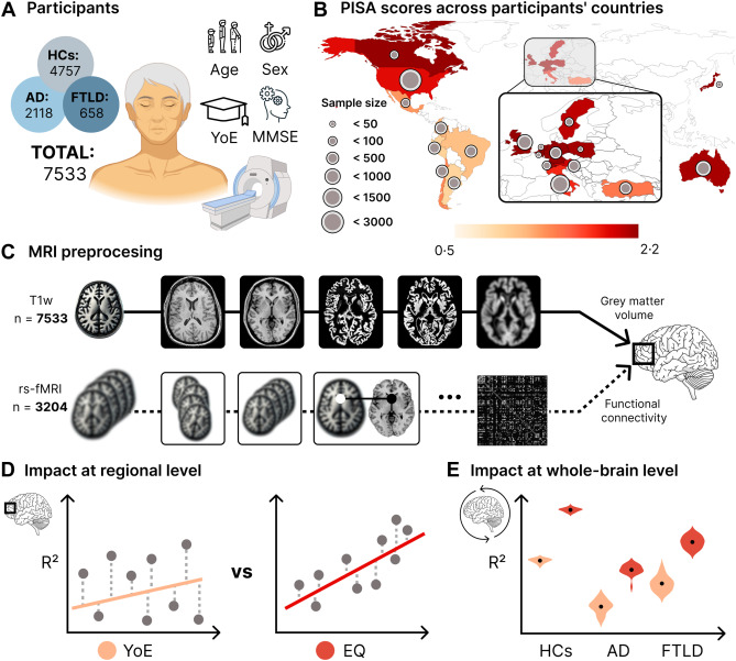 Raul Gonzalez (@rglezgz) on Twitter photo 📢 Out in <a href="/eClinicalMed/">eClinicalMedicine – The Lancet Discovery Science</a>: Our latest paper shows that education quality plays a stronger role than years of education in brain health and dementia, highlighting the importance of country-level disparities over individual factors. Proud of this work! 🧠📚🌍authors.elsevier.com/sd/article/S25… 📢 Out in <a href="/eClinicalMed/">eClinicalMedicine – The Lancet Discovery Science</a>: Our latest paper shows that education quality plays a stronger role than years of education in brain health and dementia, highlighting the importance of country-level disparities over individual factors. Proud of this work! 🧠📚🌍authors.elsevier.com/sd/article/S25…