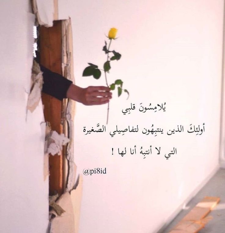 Shamsa Al Rushaidi tweet media