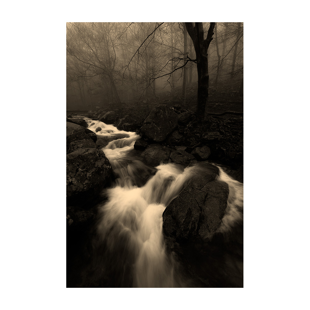 xaviermanrique's tweet photo. La natura no parla, però ens diu. No escriu, però traça signes.
Ortega y Gasset.
#antanyproject #naturaproject
#tempsindefinit
#nature #natura #forest #fog
#time #infinite
#minimalism
#visualpoetry #artnature #artphoto
#poemavisual #bellesa #melangia
#misty #poetry #romantic https://t.co/SkTIK7Sm7k