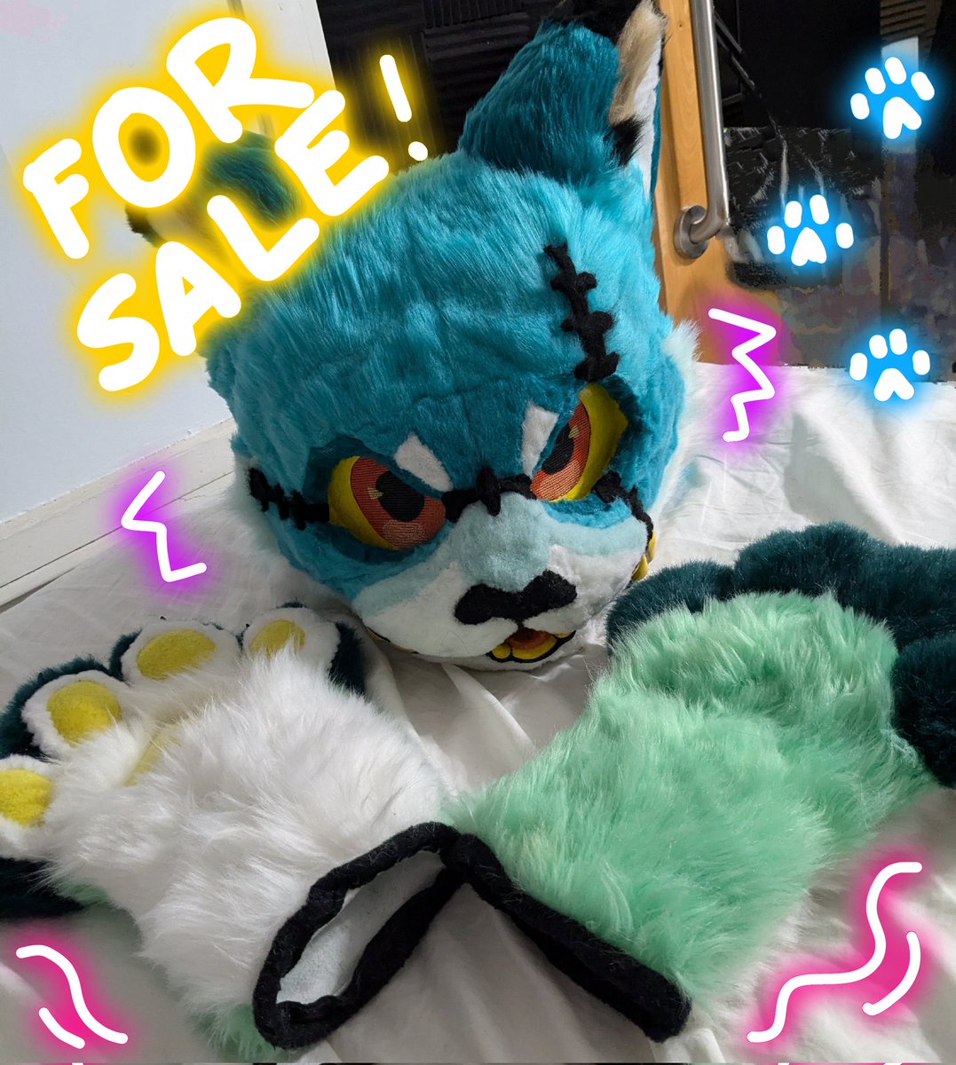 Chester is looking for a home! 🐱