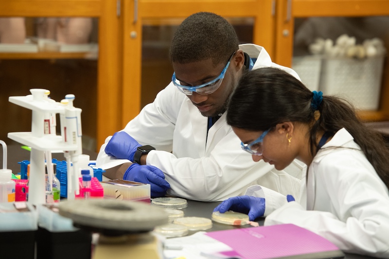 🎊 Zack Wallace, now a PhD student at Vanderbilt, contributed to groundbreaking research in body fat growth modeling as a Mississippi INBRE Research Scholar in 2022—featured on the cover of <a href="/MDPIOpenAccess/">MDPI</a>'s latest issue of Bioengineering!

Read more: msinbre.org/former-mississ…