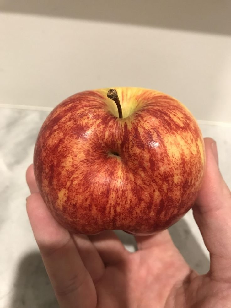 Butthole Coin tweet media