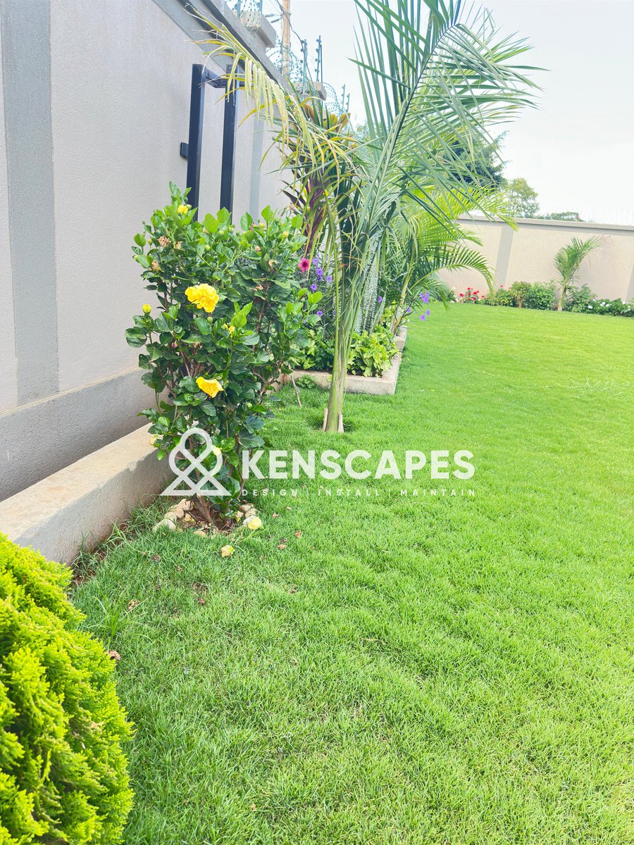 mwangiscapes's tweet photo. The art of landscape design and implementation in Ke
Rate our work
Our next client maybe in your timeline like,share and repost 
Thanks
#RutoMustGo #ParoGeneral #StrayKids #ButereGirls #malala #NAKURU https://t.co/0qe6rLFyVA