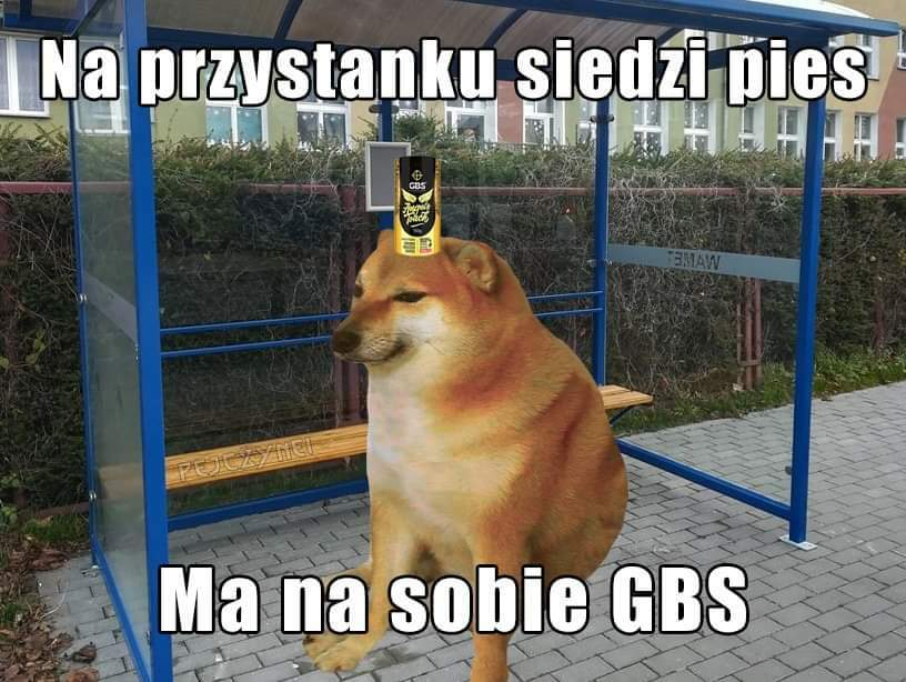 KL05163613's tweet photo. @GBS_PL https://t.co/bMZJAqWhnB