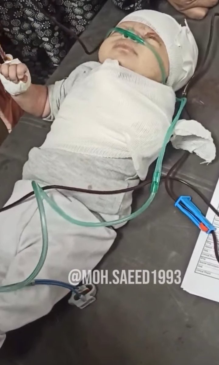 Samira Mohyeddin سمیرا tweet media