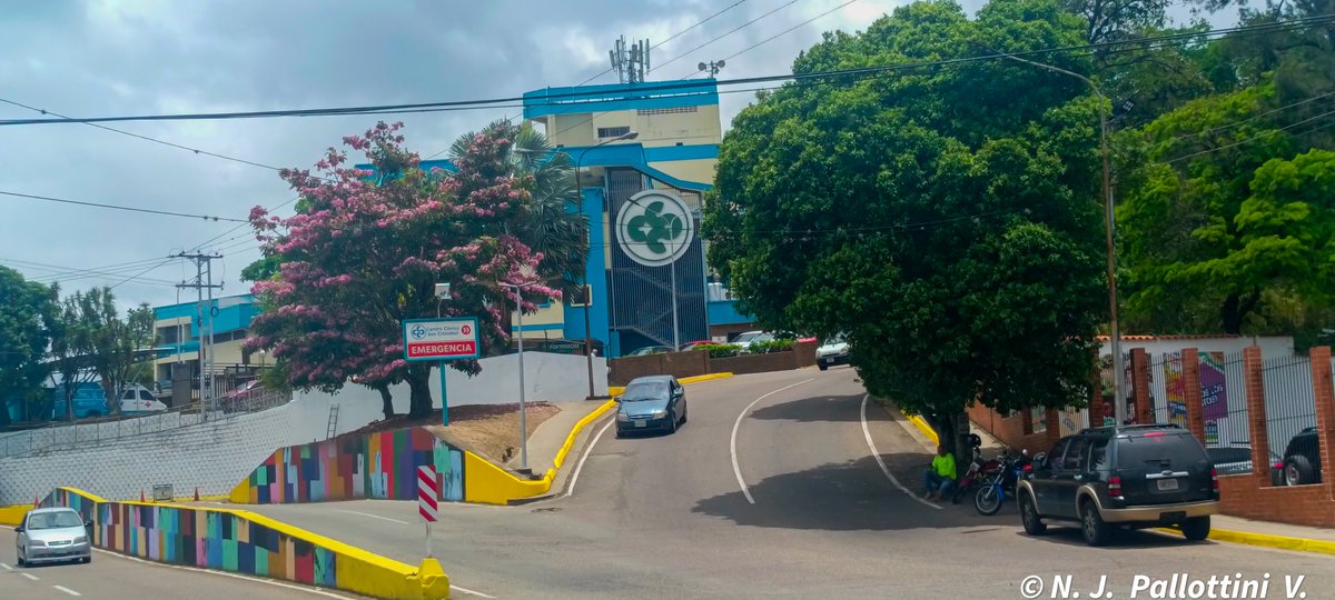 NJPallottiniV's tweet photo. Apamates.

San Cristóbal - Venezuela.
#apamates #photography #photographer #NaturePhotography #postal #SanCristobal #Tachira #Venezuela https://t.co/qzVxHzeKnn