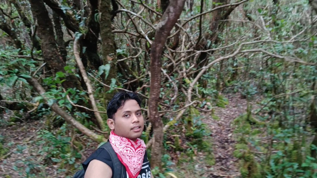 Adatidak3's tweet photo. Hansel and Gretel feat Terabithia... https://t.co/Hv6VeRfErh