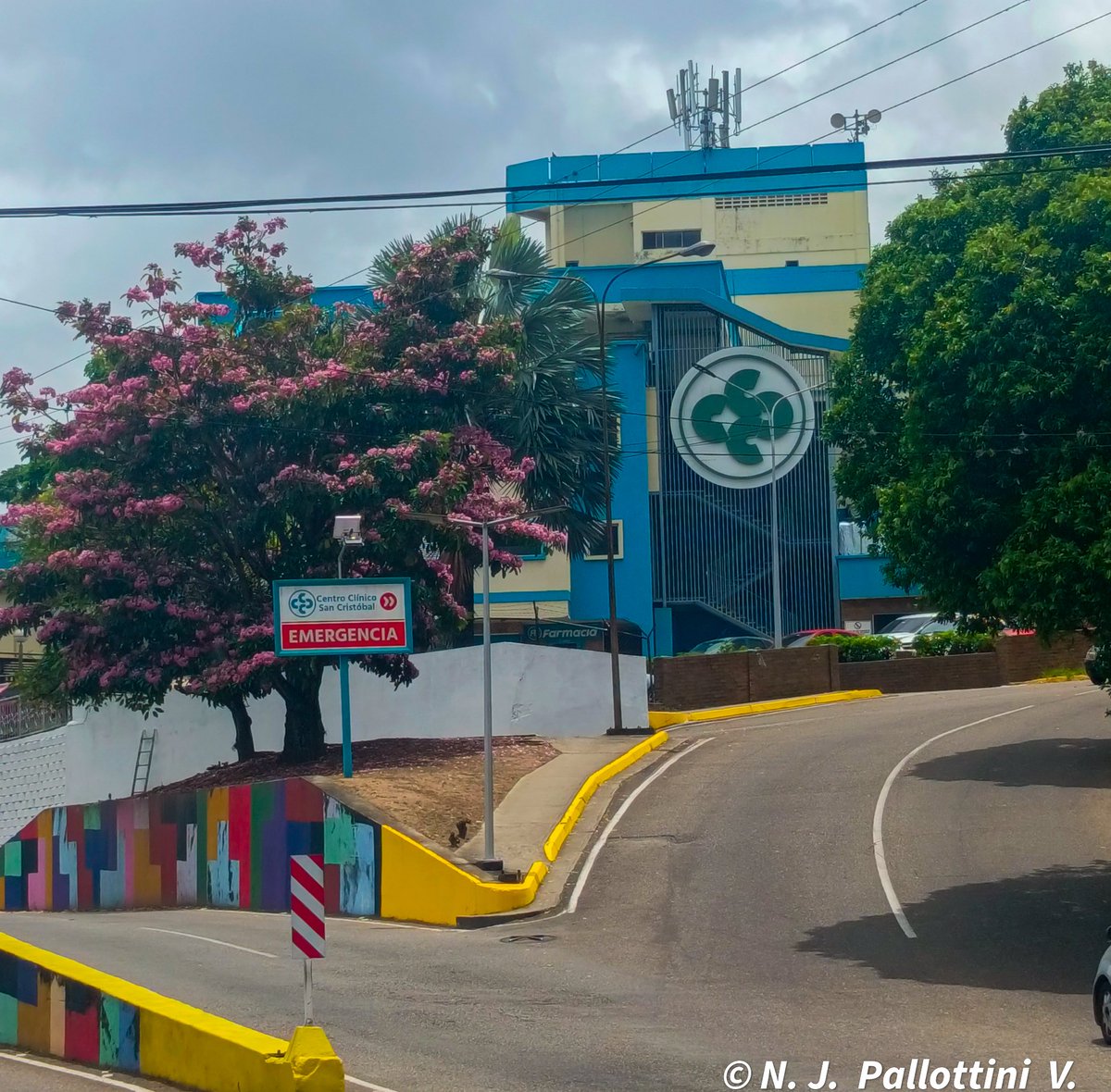 NJPallottiniV's tweet photo. Apamates.

San Cristóbal - Venezuela.
#apamates #photography #photographer #NaturePhotography #postal #SanCristobal #Tachira #Venezuela https://t.co/qzVxHzeKnn