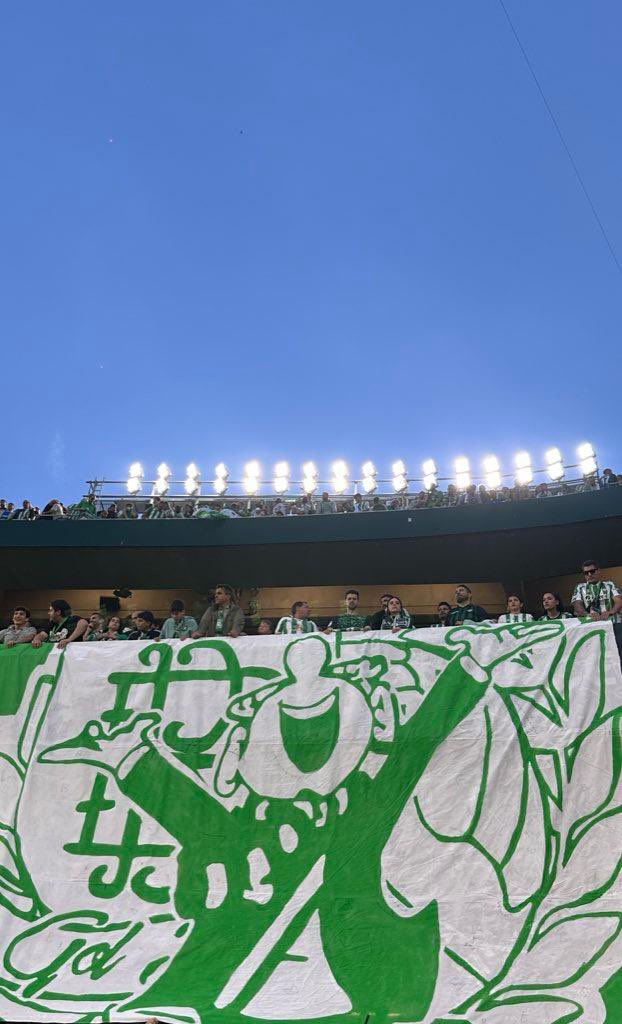 Sueño con otra primavera celebrando en Plaza Nueva.

(10/4/25)