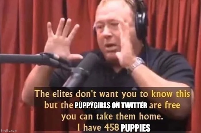 Luna🐾🐶 (@lunaetastrum) on Twitter photo 