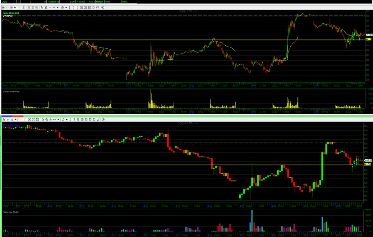 THE SHORT BEAR tweet media