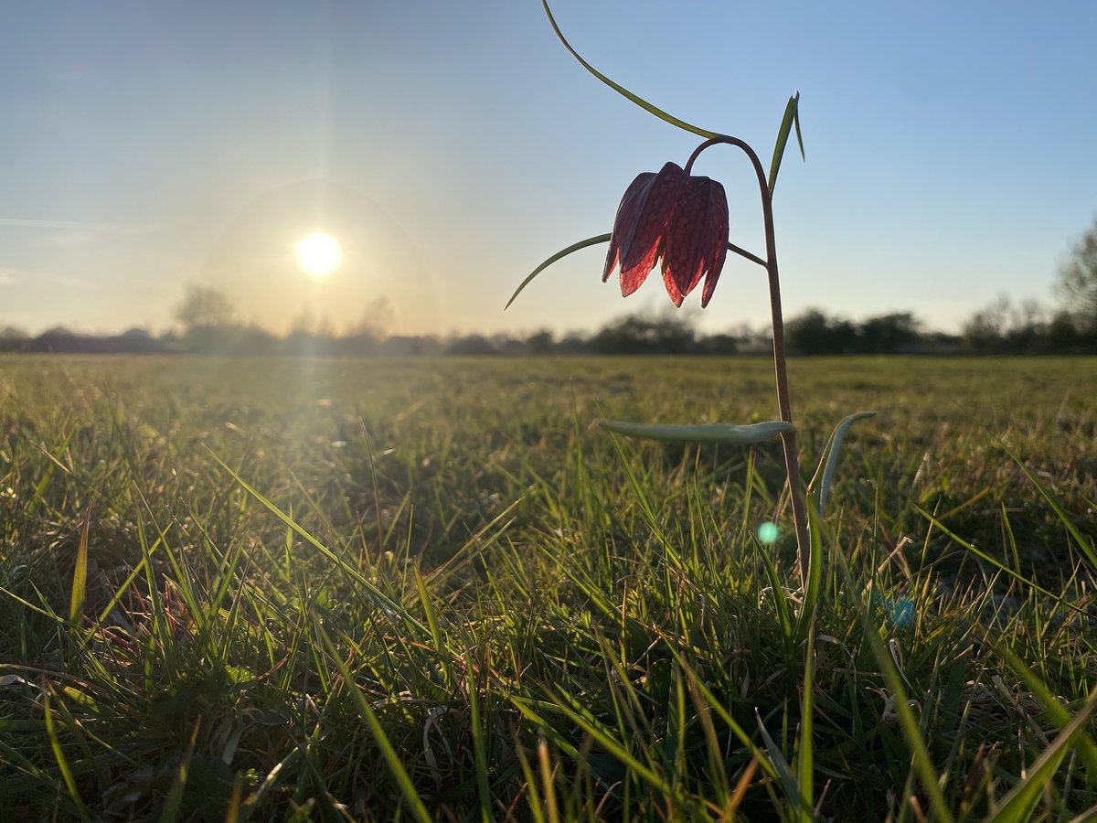 Andy Rumming tweet media