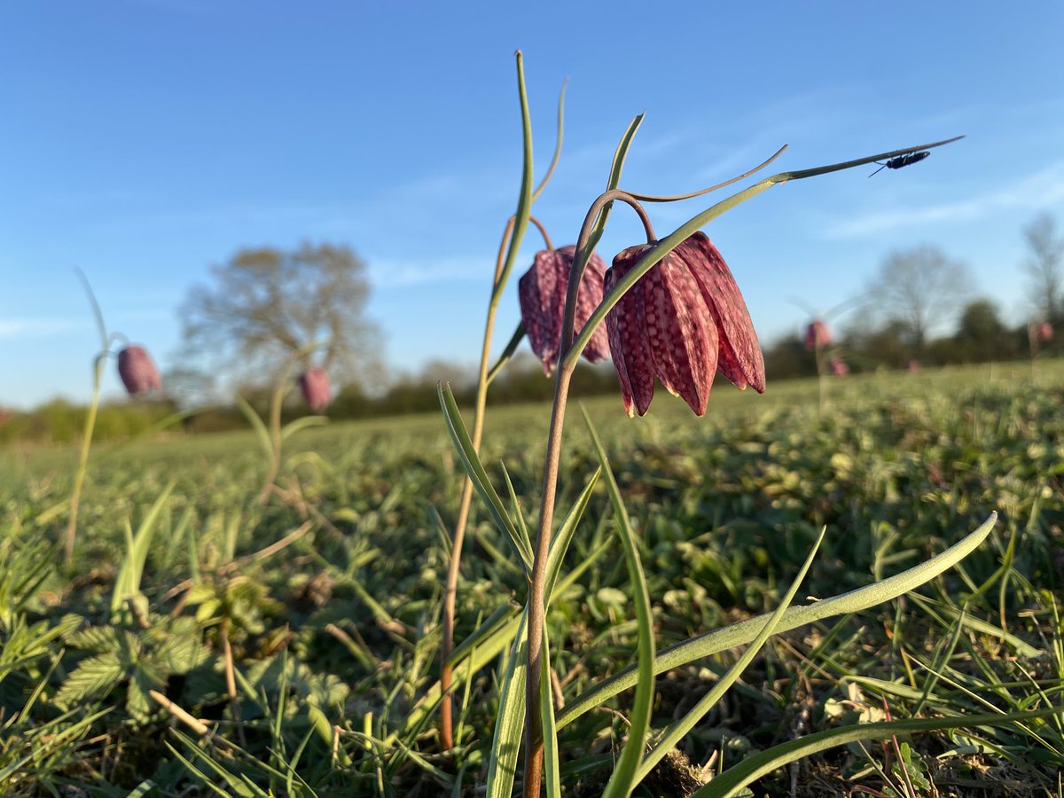 Andy Rumming tweet media