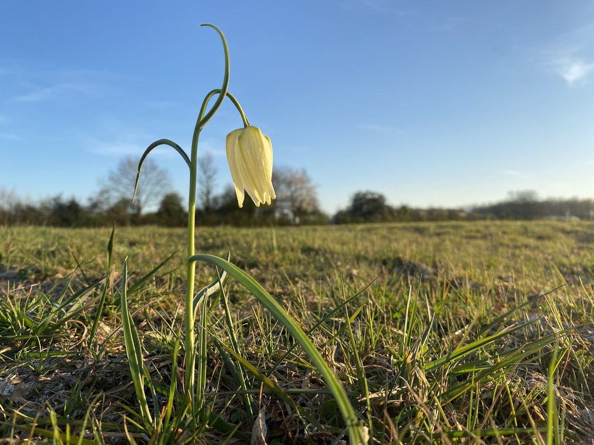 Andy Rumming tweet media