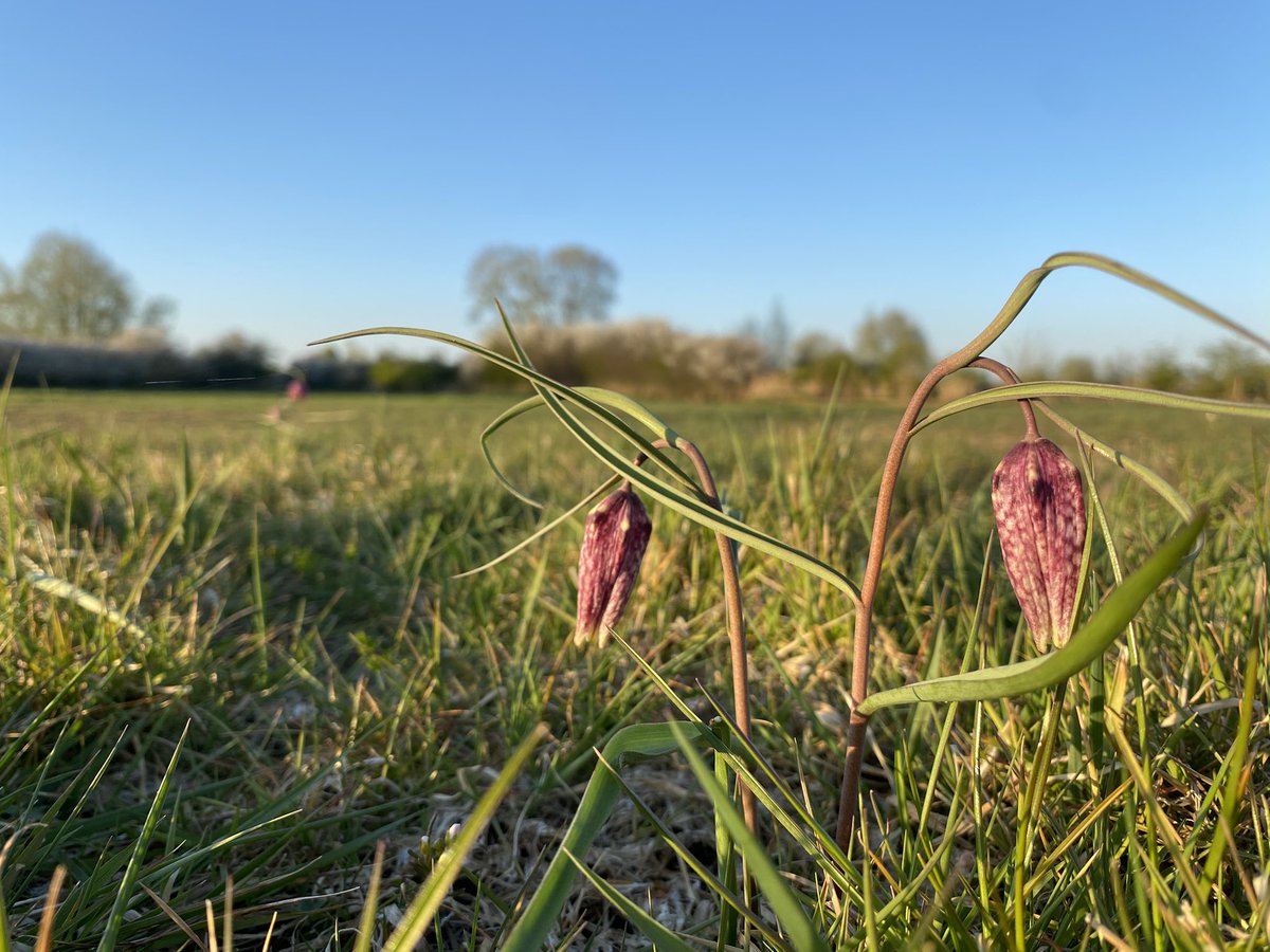 Andy Rumming tweet media