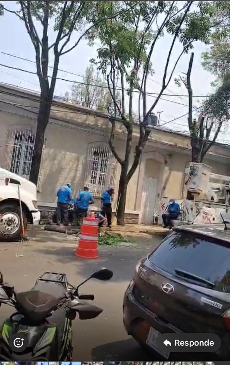 RaulParedesP's tweet photo. 🚨URGENTE🚨
Y aquí @mauriciotabe TALANDO árboles en la colonia Escandón, y seguro en complicidad de dictámenes apócrifos de @MHPrevencion

Oye @PAOTmx urge investigar General Francisco Murguía  75 entre Marti y Progreso, col Escandón en la @AlcaldiaMHmx https://t.co/XfQfCyPwvV