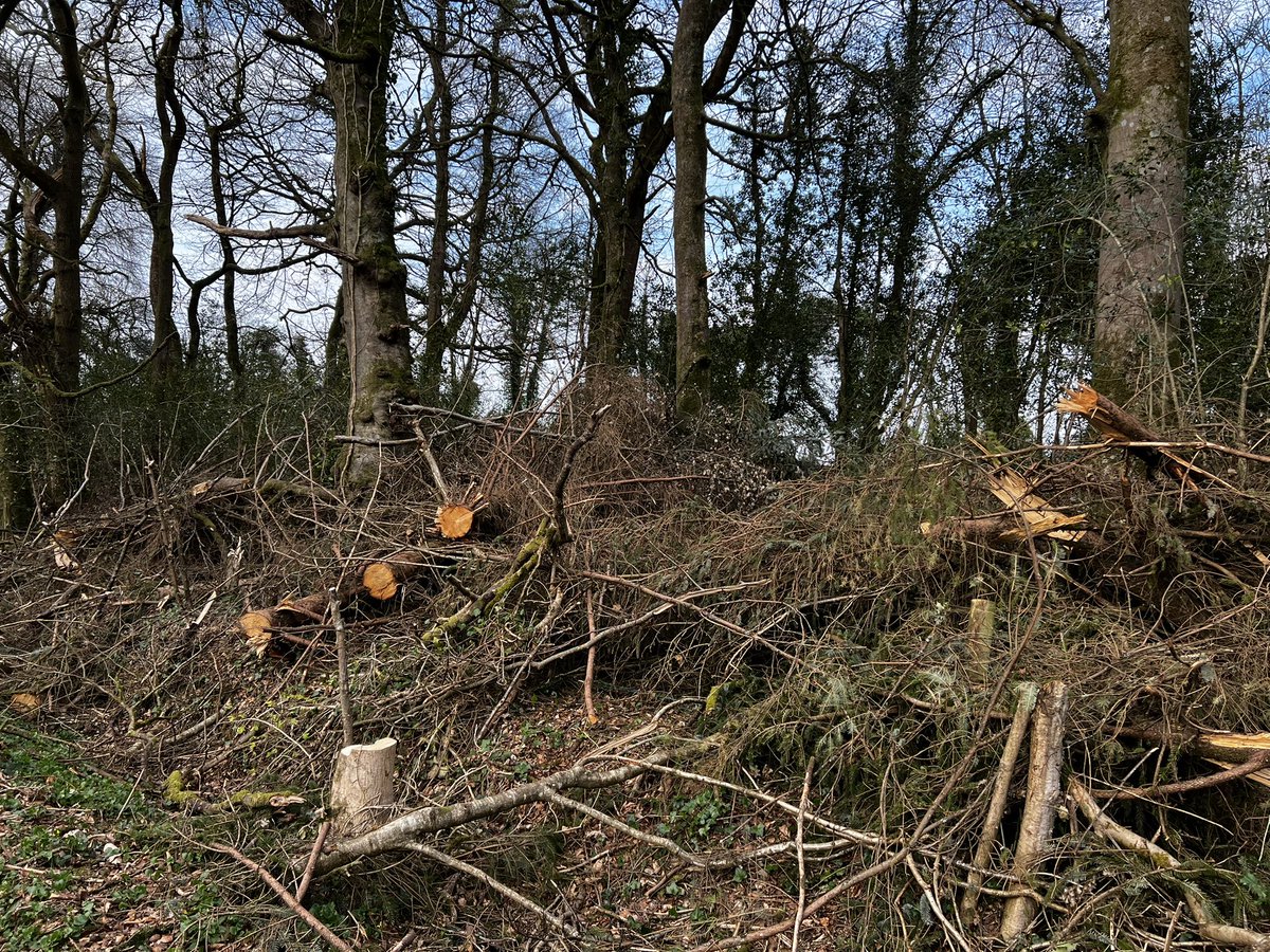 The phones must be still out after storm eoghan our area, would be brilliant if you could clear and fix my fencing too😃😃 <a href="/coilltenews/">Coillte</a>