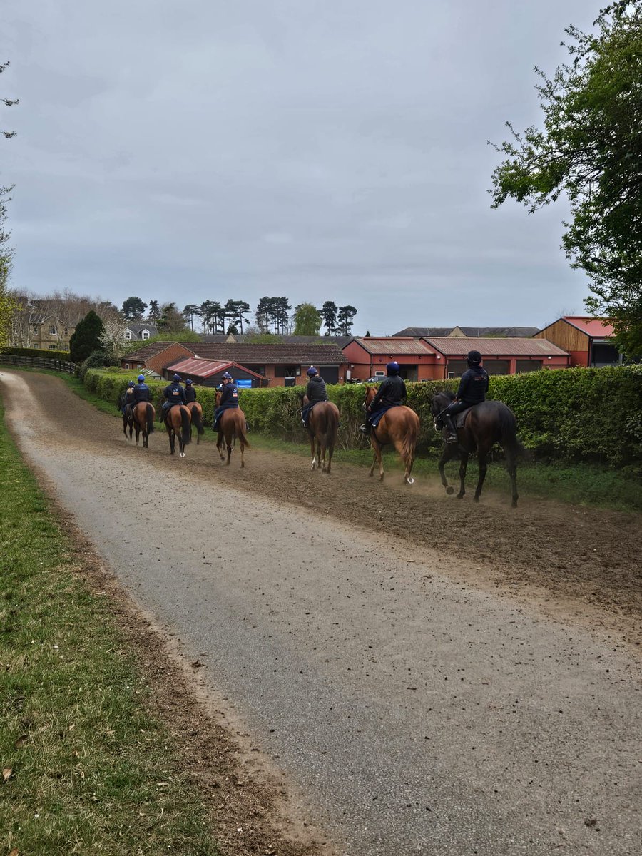 A little visit to <a href="/lemosdesouza1/">LDS RACING</a> &amp; <a href="/almracing/">Amy Murphy Racing</a> to visit our three 🏇