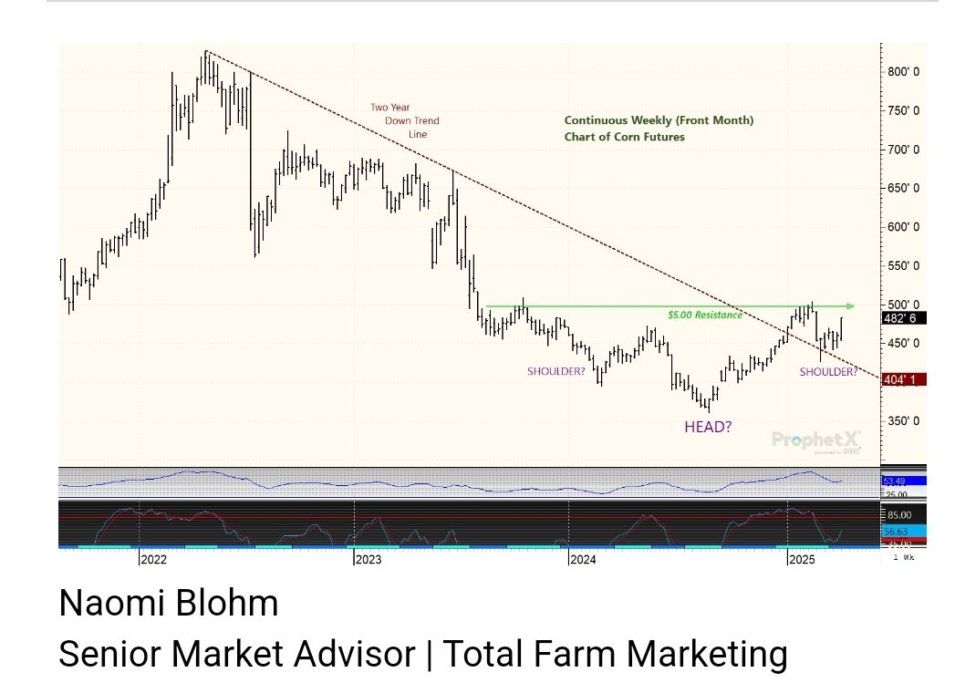 naomiblohm's tweet photo. With old crop #corn carryout now at 1.45 bil bu, weekly charts are looking friendly. $5.00 is likely the next target. IF bullish news occurs in the coming weeks(weather scare or strong demand), there is potentially an inverted "head &amp; shoulders" formation, which points to $6.00. https://t.co/vMBoO37sLh