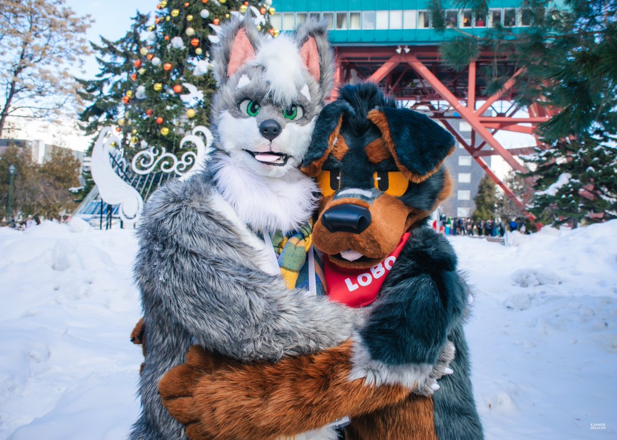 LOBO is so CUTE!!!

feat. <a href="/LOBO_Rottie/">LOBO🐾</a> 
📷 <a href="/kannuk_helicop/">努克／Kannuk➡️二足歩行TwinTrails</a> 
#FursuitFriday 
#ちるこん2025