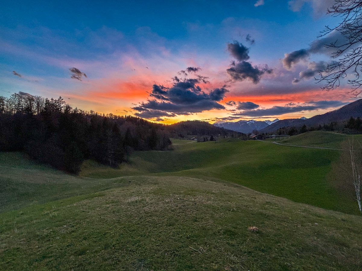 ModernaKmetica tweet media