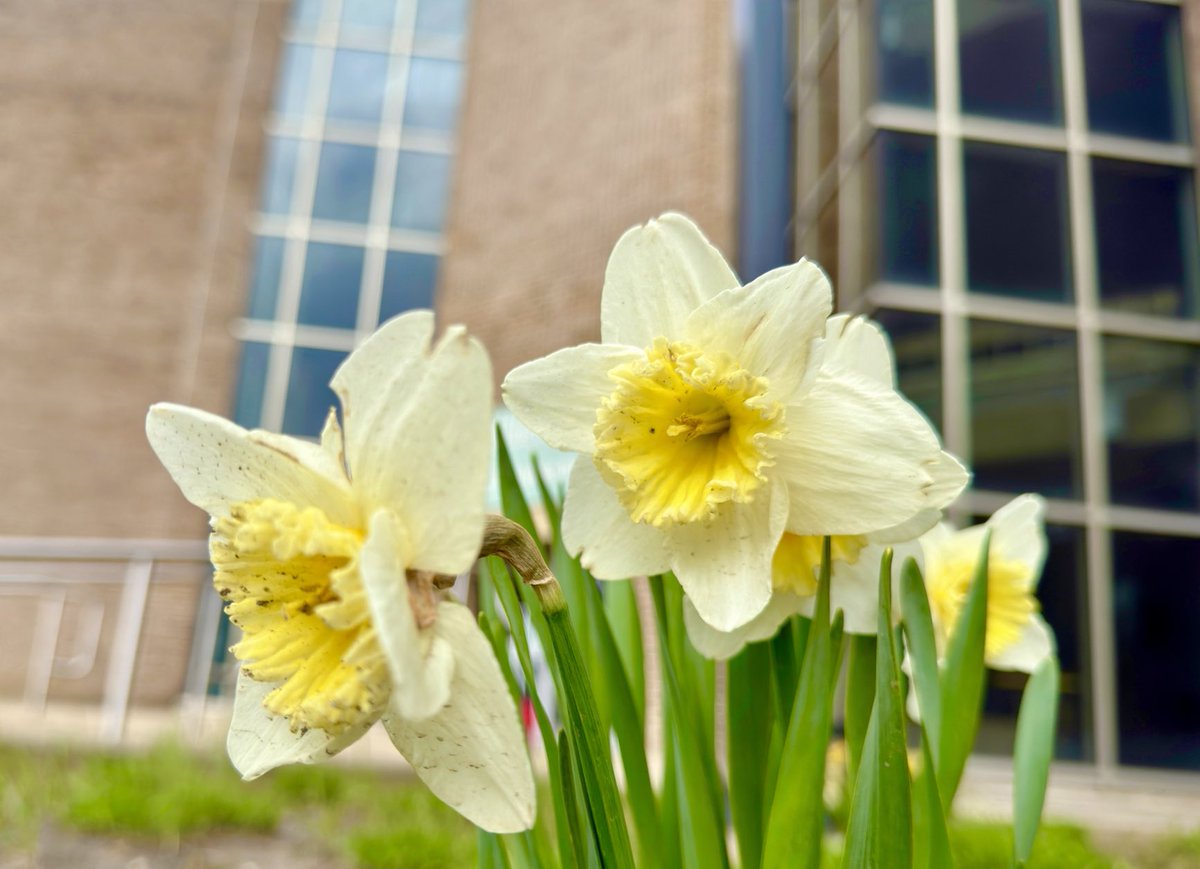 Garrard McClendon, Ph.D. tweet media