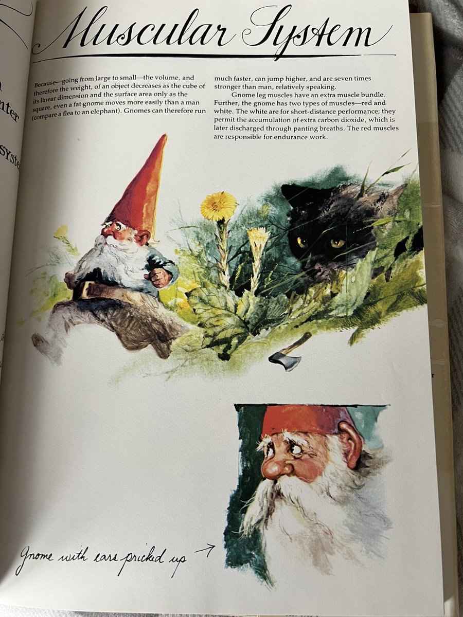 Toyhuntersholl2's tweet photo. A new addition to our library, Gnomes! I use to check this out of the library so much as a kid, it's so nice to have an original copy in our collection
#gnomes #forestgnomes #fairytales #vintage #antique #harrynabrams #trolls #woodlandcreatures #library #70s
#80s #rienpoortvliet https://t.co/Dv203bt5GI