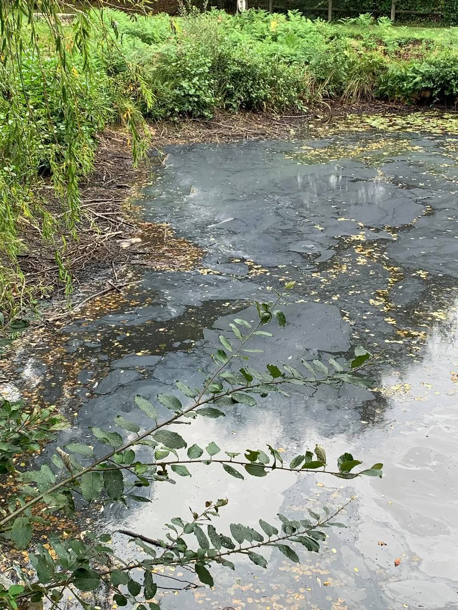 Petit souvenir de <a href="/LubrizolCorp/">Lubrizol</a> le 26 septembre 2019 à 40km de #incendie de #Rouen.  Un cocktail de #pollution qui bénéficie  toujours a ce jour  de #impunité. Mais nous serons toujours là pour la #justice, peu importe le temps qu il faudra !